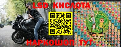 спайс Тара