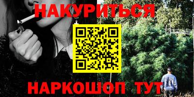 спайс Тара