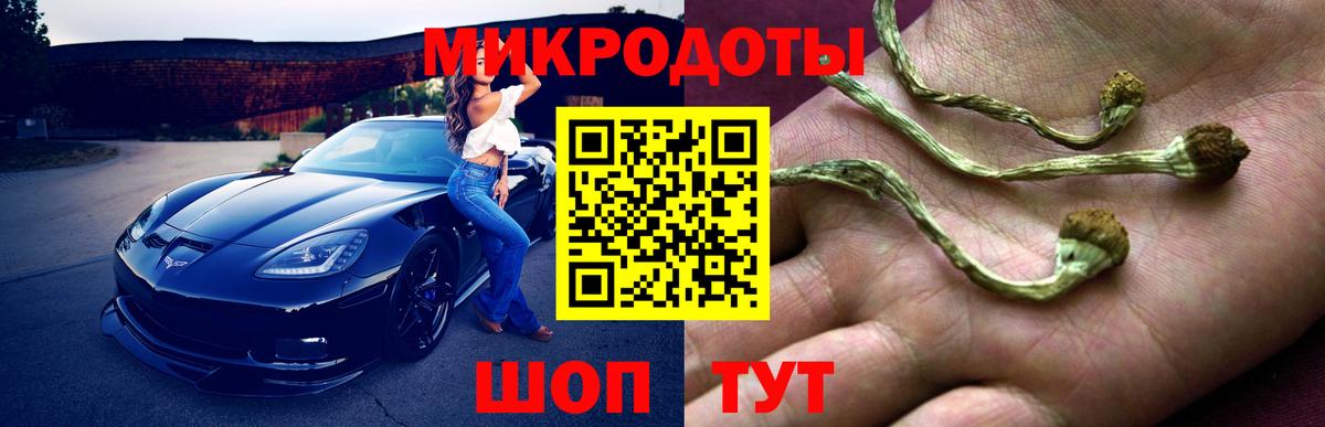 Михайловск  Галлюциногенные грибы MAGIC MUSHROOMS  Вход с VPN  Псилоцибиновые грибы Psilocybe 