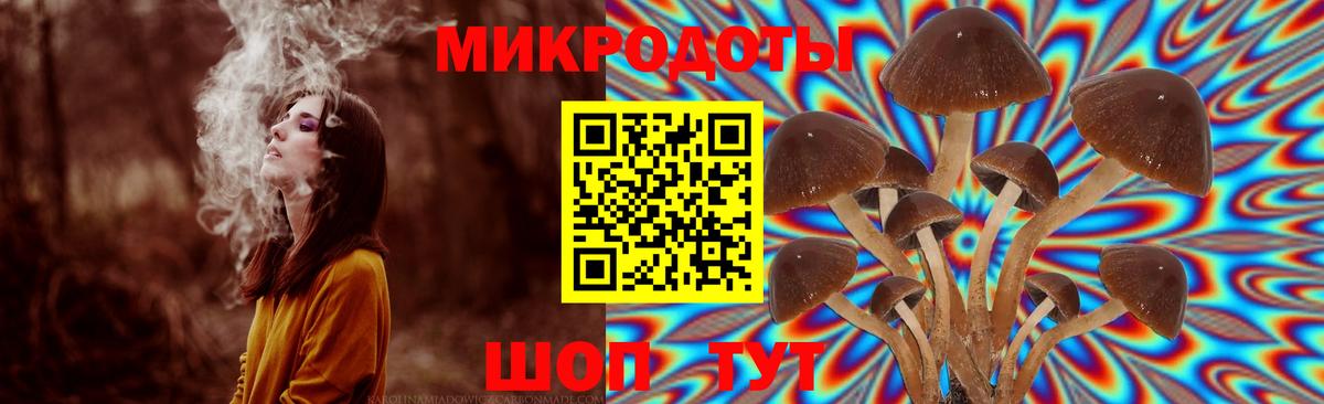 Псилоцибиновые грибы мицелий Михайловск